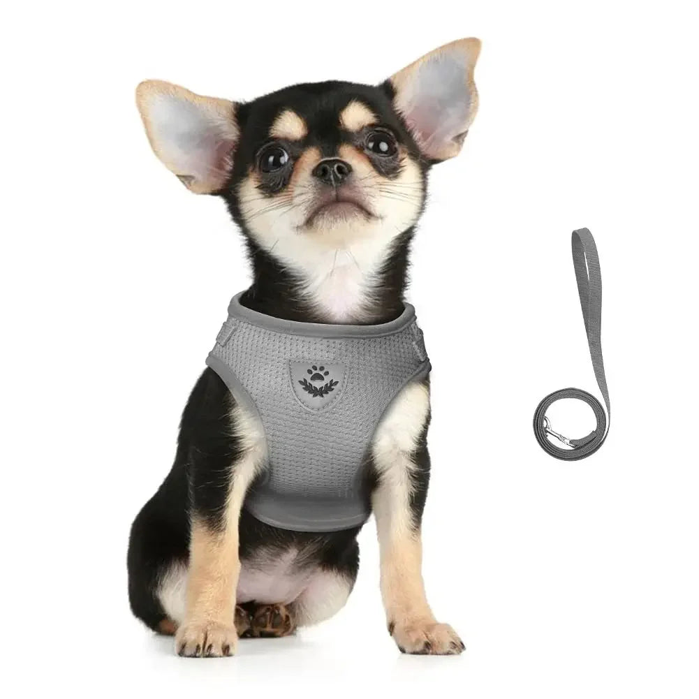 Ensemble harnais et laisse en mesh réfléchissant pour chat et petit chien