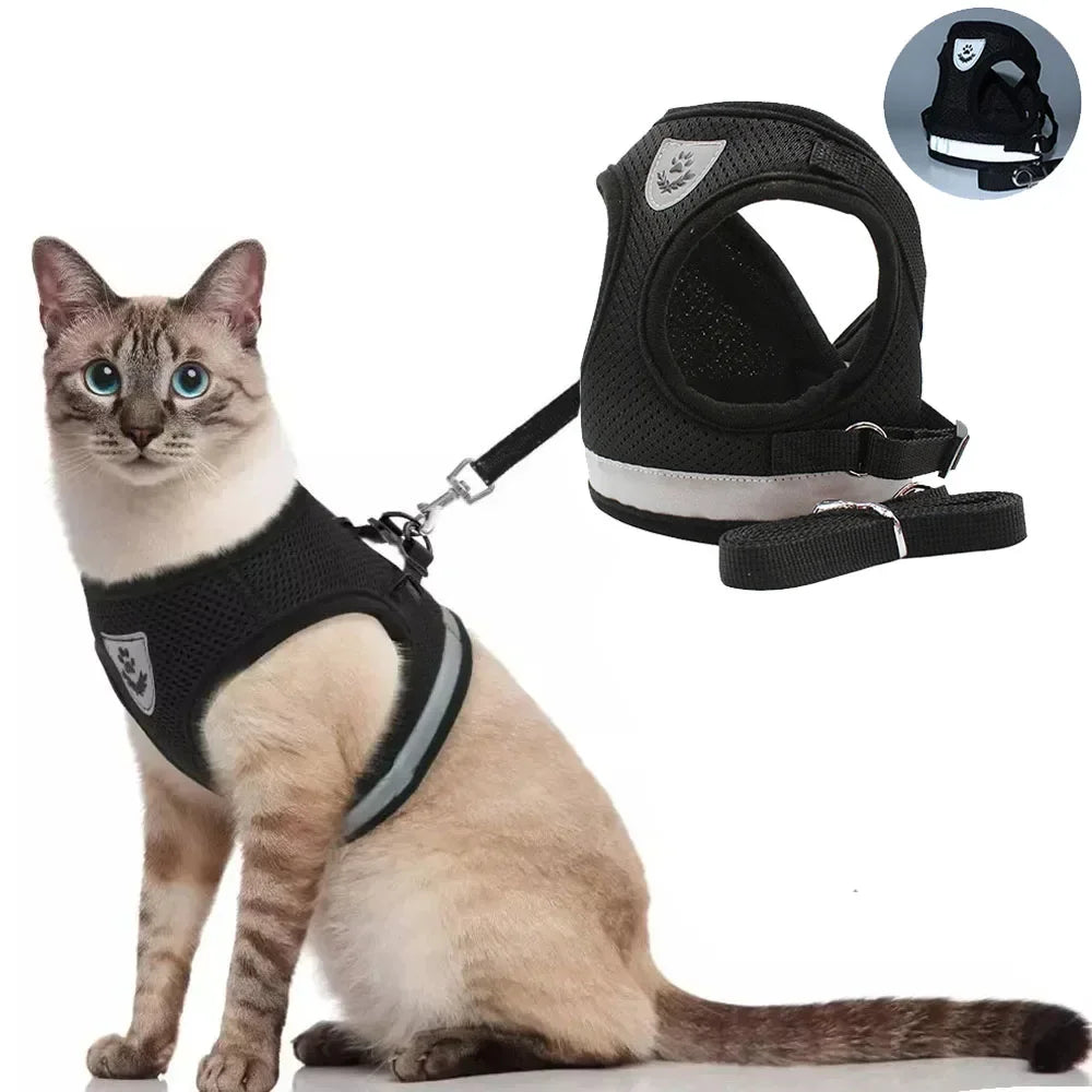Ensemble harnais et laisse en mesh réfléchissant pour chat et petit chien