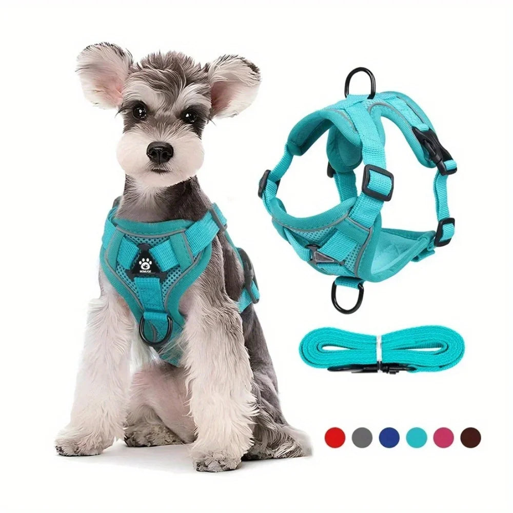Ensemble harnais et laisse anti-traction réfléchissant pour petit chien et chat