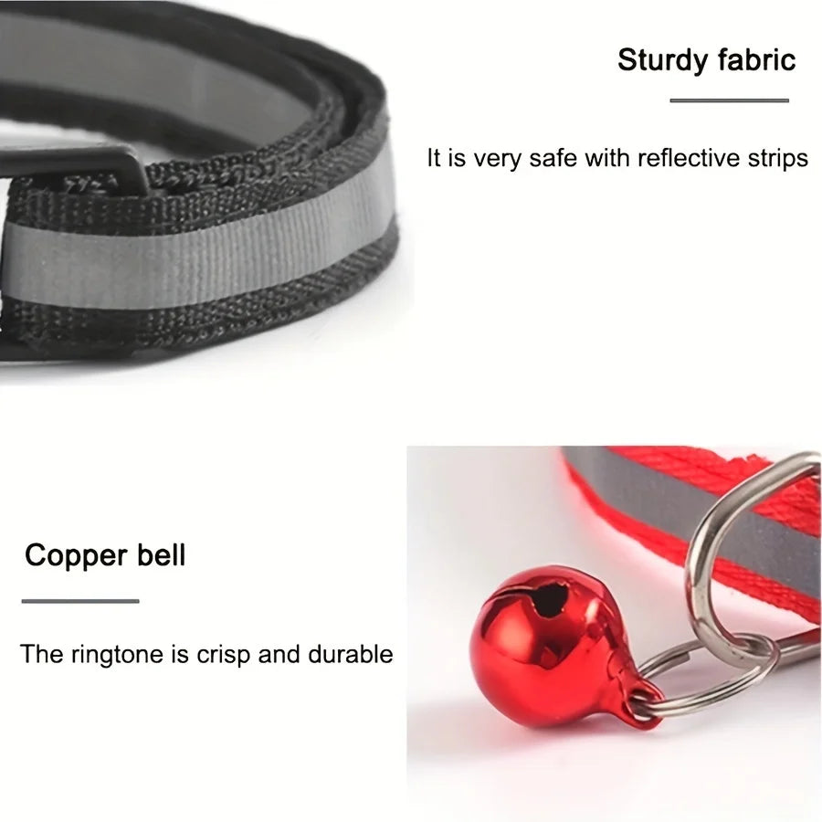 Collier réfléchissant personnalisable pour chat avec grelot — gravure offerte