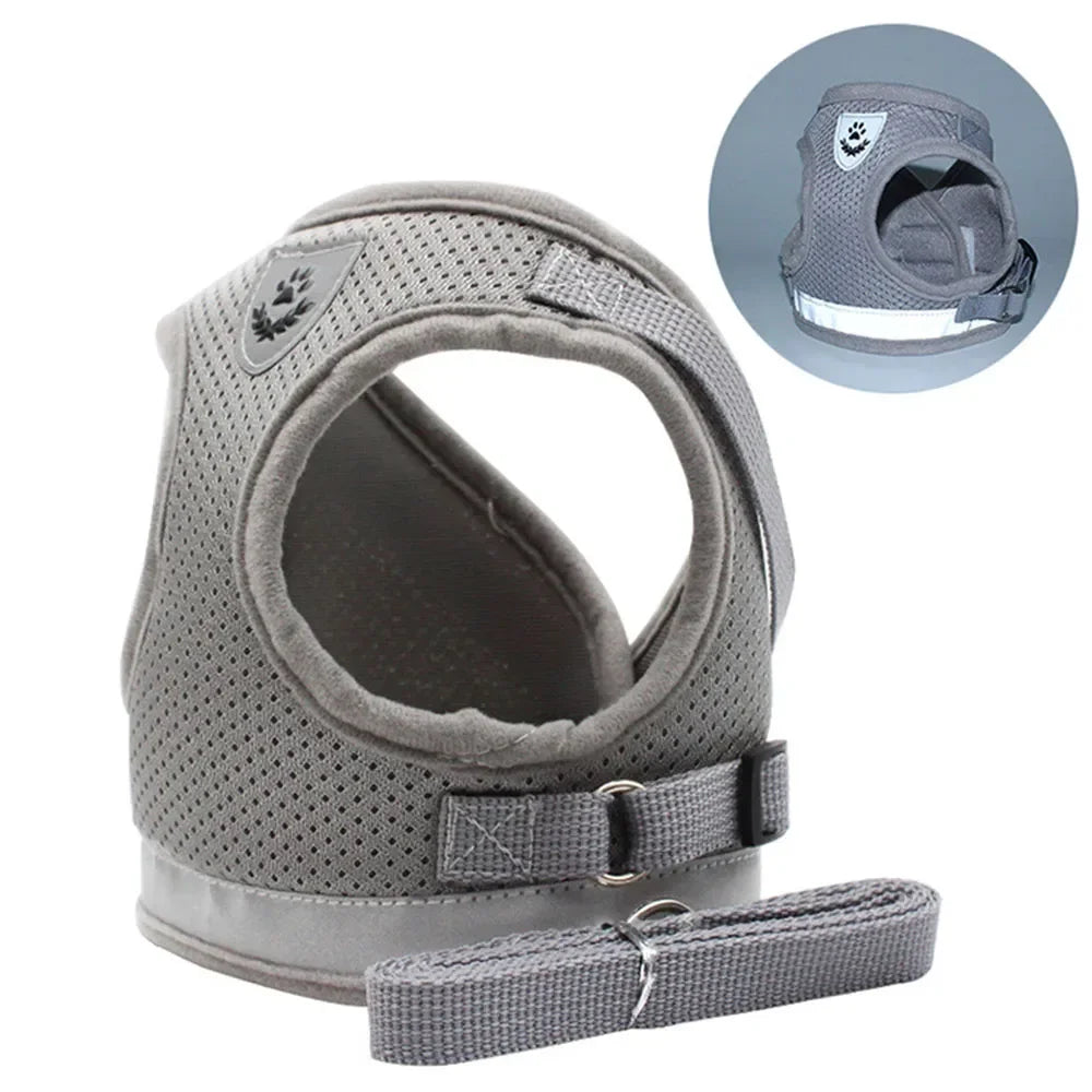 Ensemble harnais et laisse en mesh réfléchissant pour chat et petit chien