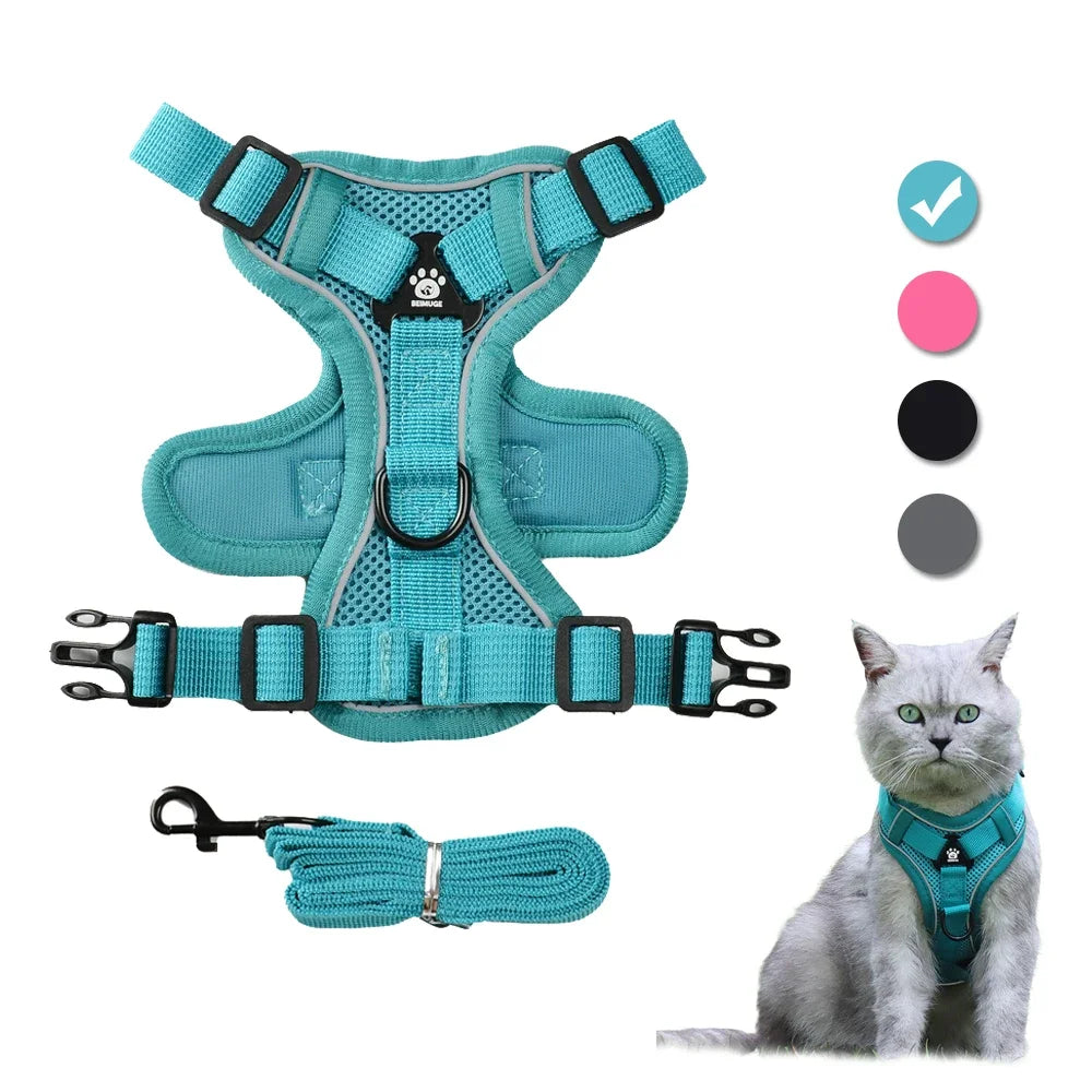 Ensemble harnais et laisse anti-fugue réfléchissant pour chat et petit chien