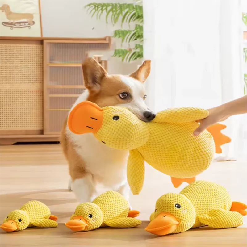 Peluche canard à câliner pour chien — jouet anti-ennui