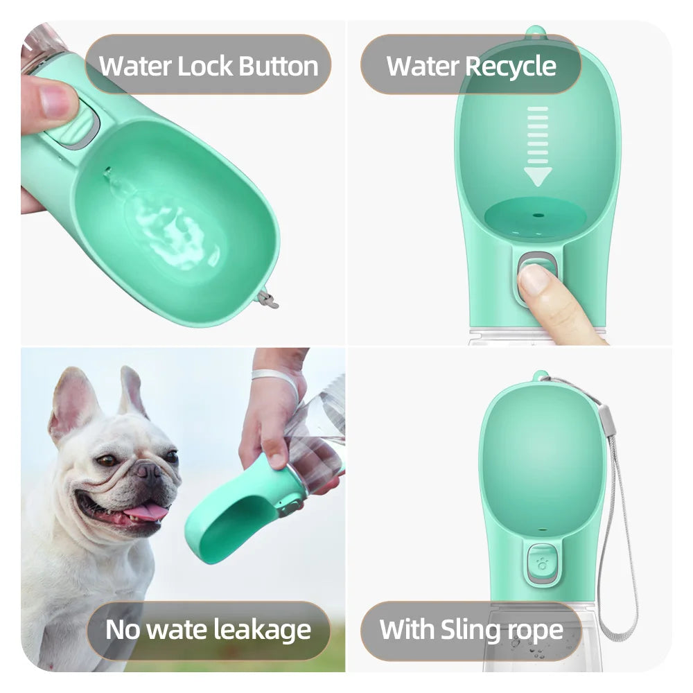 Gourde d'eau portable pour chien et chat — anti-fuite pour la promenade