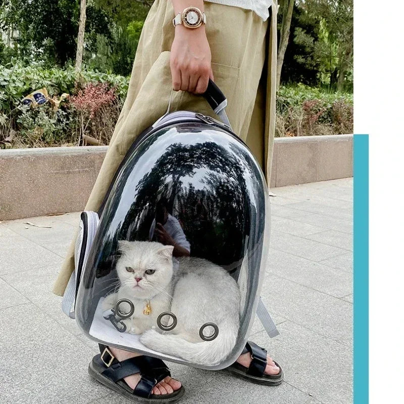 Sac à dos de transport bulle spatiale pour chat et petit chien