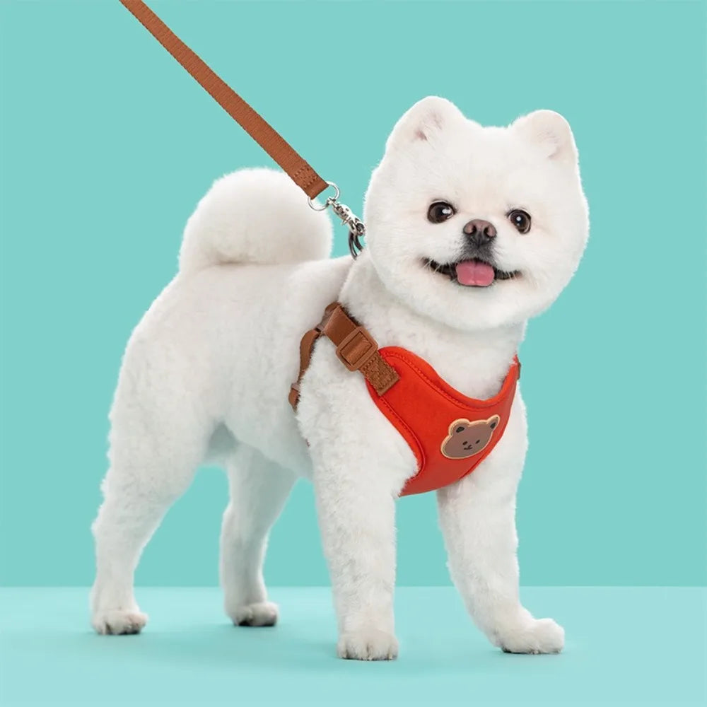 Ensemble harnais et laisse anti-traction pour chat et petit chien