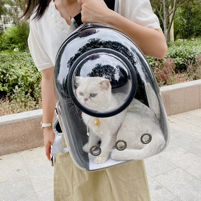 Sac à dos de transport bulle 360° respirant pour chat et petit chien
