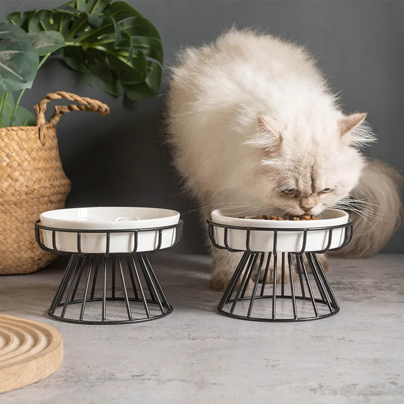 Gamelle anti-glouton surélevée en céramique avec support — chien et chat