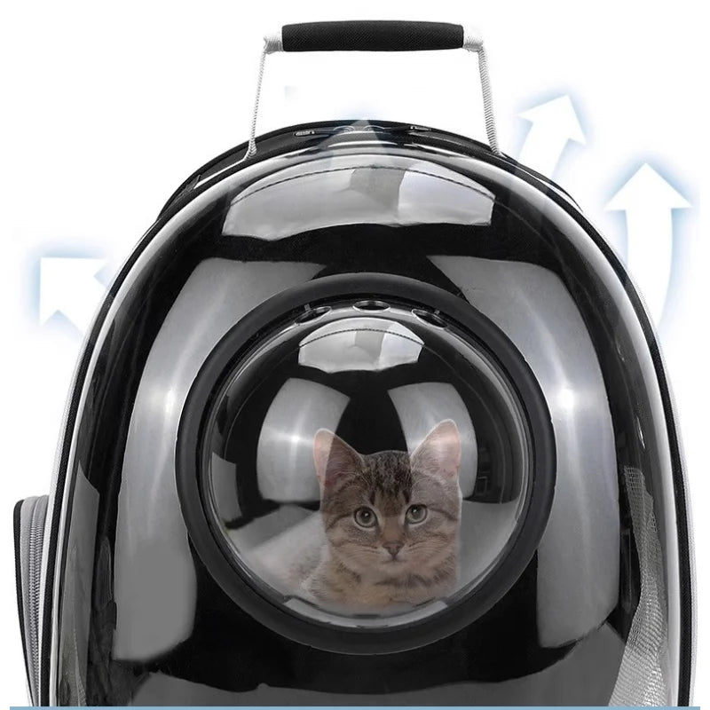 Sac à dos de transport bulle 360° respirant pour chat et petit chien