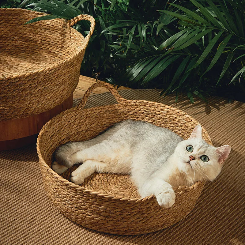 Panier en rotin tressé pour chat — couchage d'été