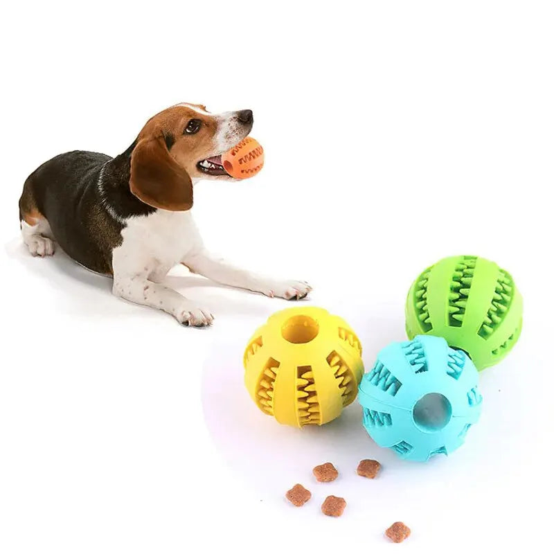 Balle distributrice de friandises pour chien et chat — nettoyage des dents