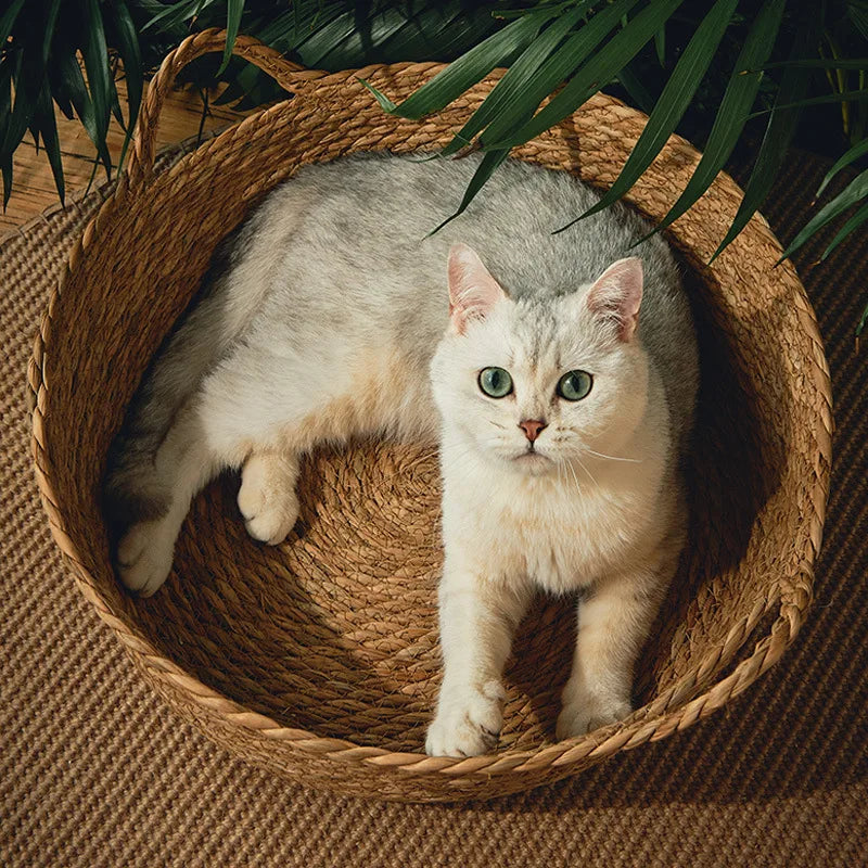 Panier en rotin tressé pour chat — couchage d'été