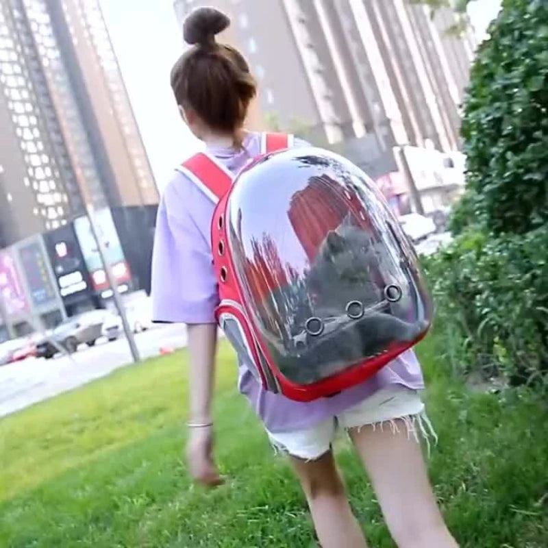 Sac à dos de transport bulle 360° respirant pour chat et petit chien