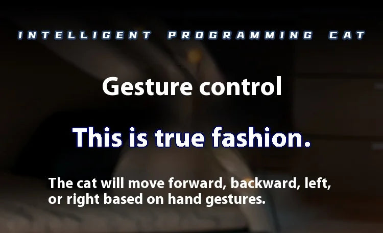 Jouet Robot Chat Télécommandé – Marche, Lumières & Actions – Cadeau Enfant