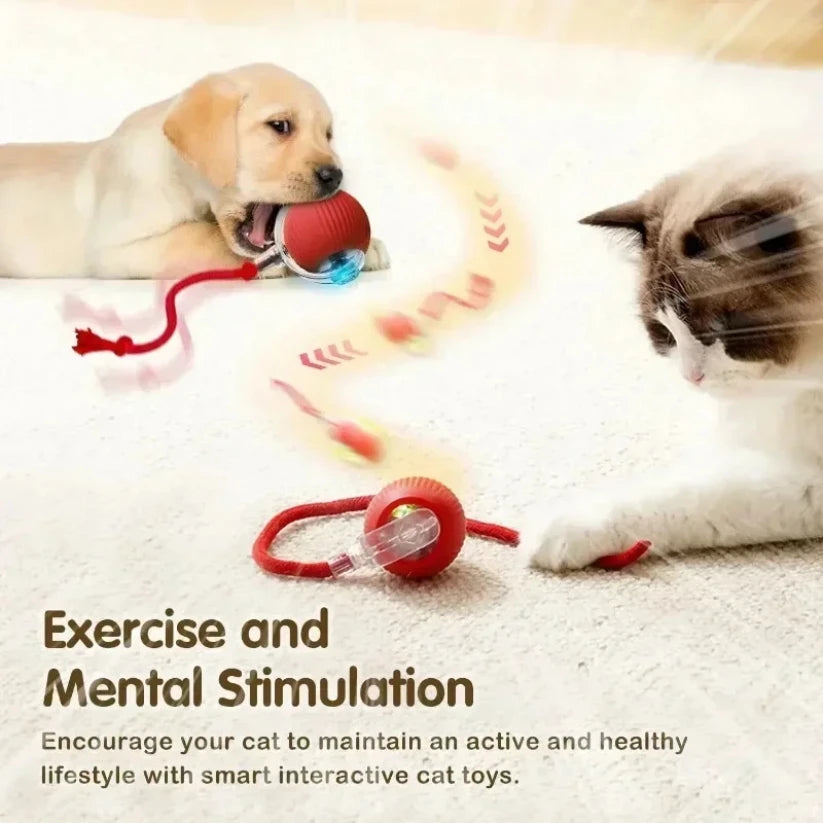 Balle interactive rotative pour chat — jouet automatique rechargeable