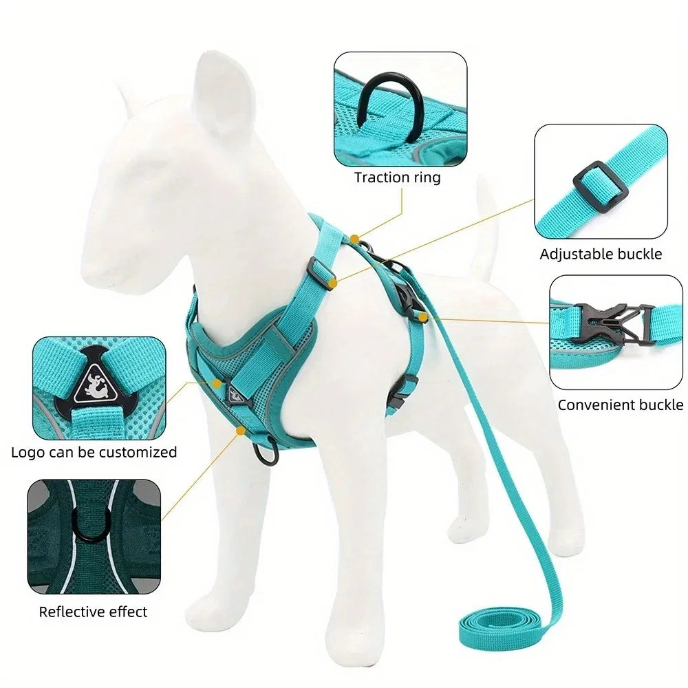 Ensemble harnais et laisse anti-traction réfléchissant pour petit chien et chat
