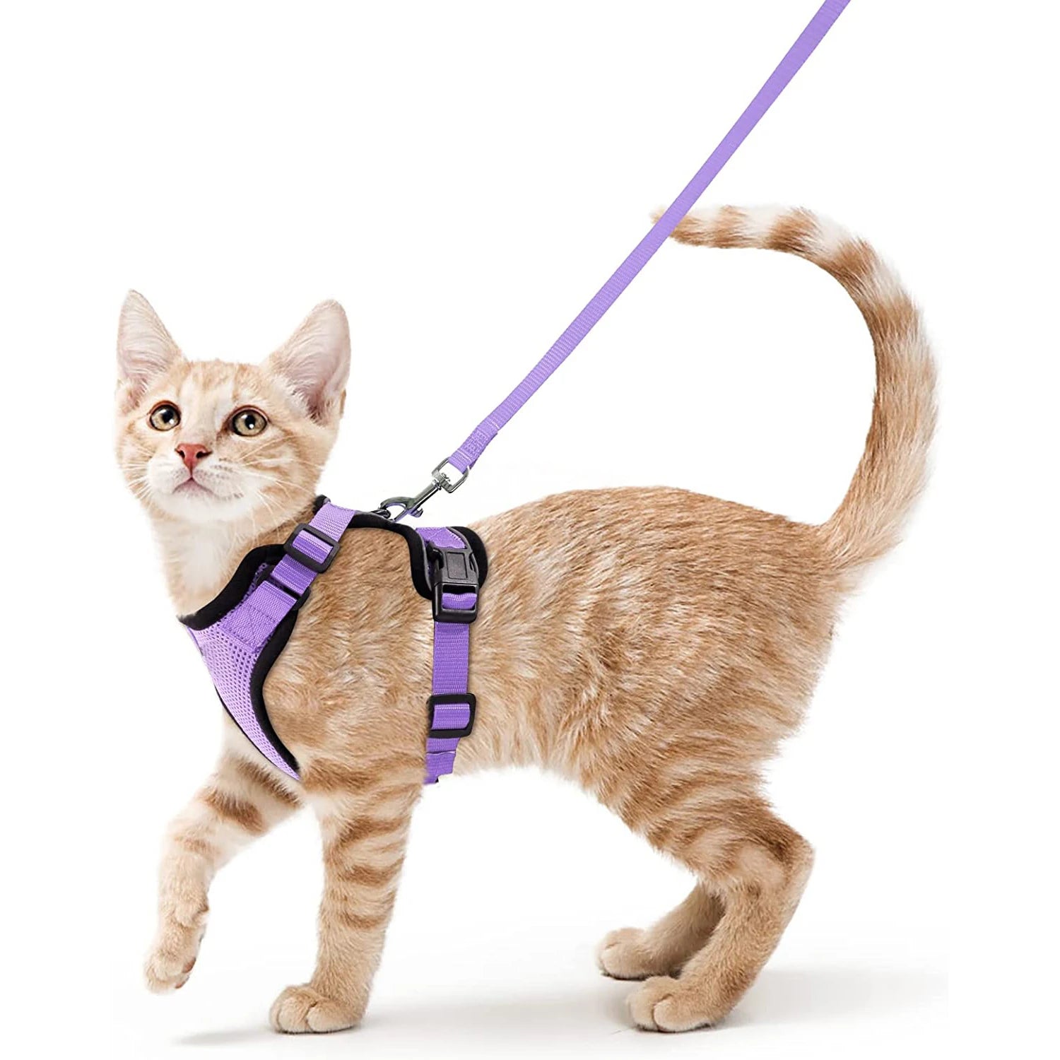 Harnais et laisse anti-fugue ajustable pour chat — contrôle facile