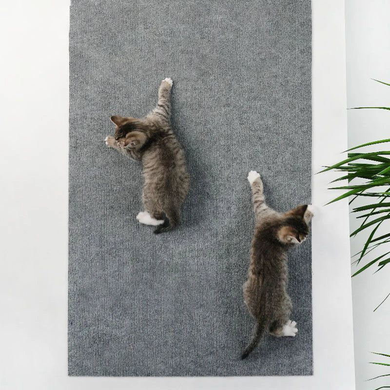 Tapis griffoir autocollant pour chat — protège canapé et angles, découpable