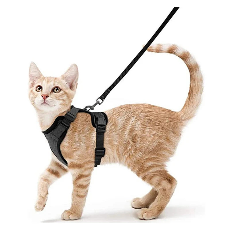 Harnais et laisse anti-fugue ajustable pour chat — contrôle facile