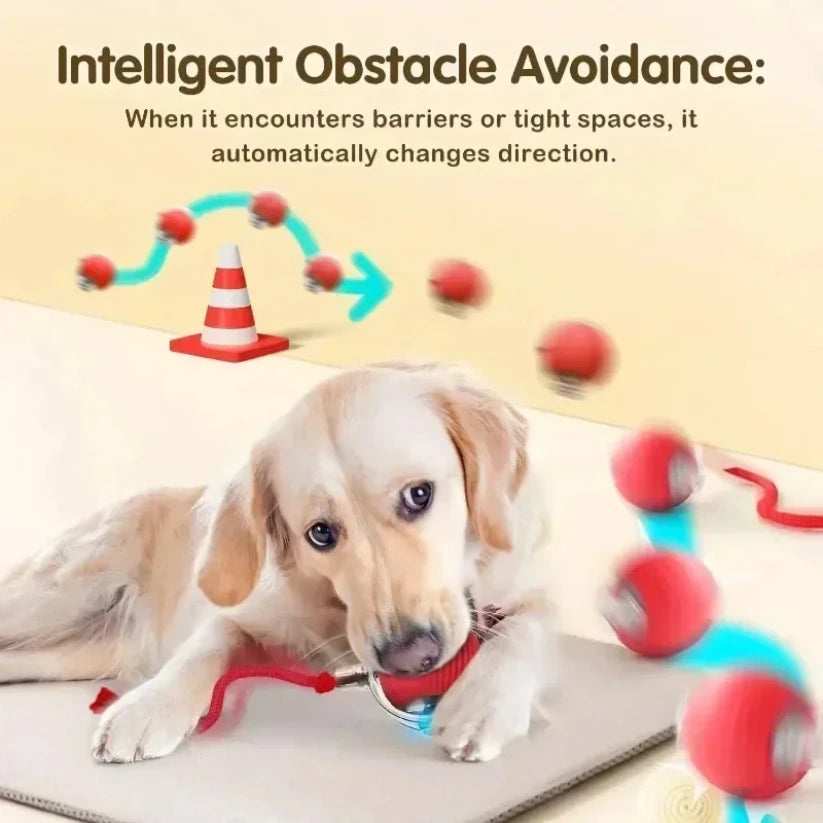 Balle interactive rotative pour chat — jouet automatique rechargeable