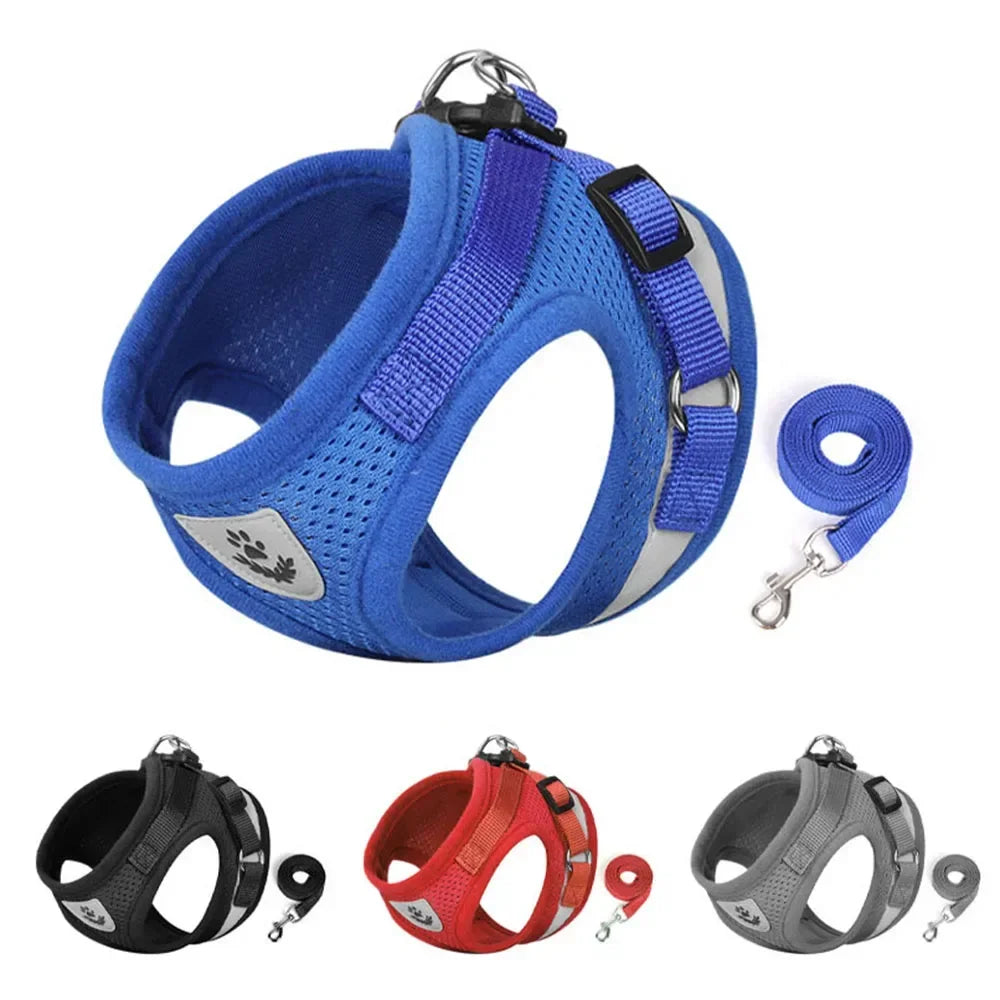 Ensemble harnais et laisse en mesh réfléchissant pour chat et petit chien