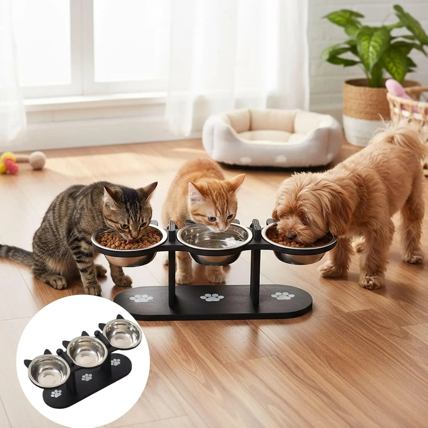 Gamelle surélevée en inox sur cadre bois pour chat — inclinée 15°