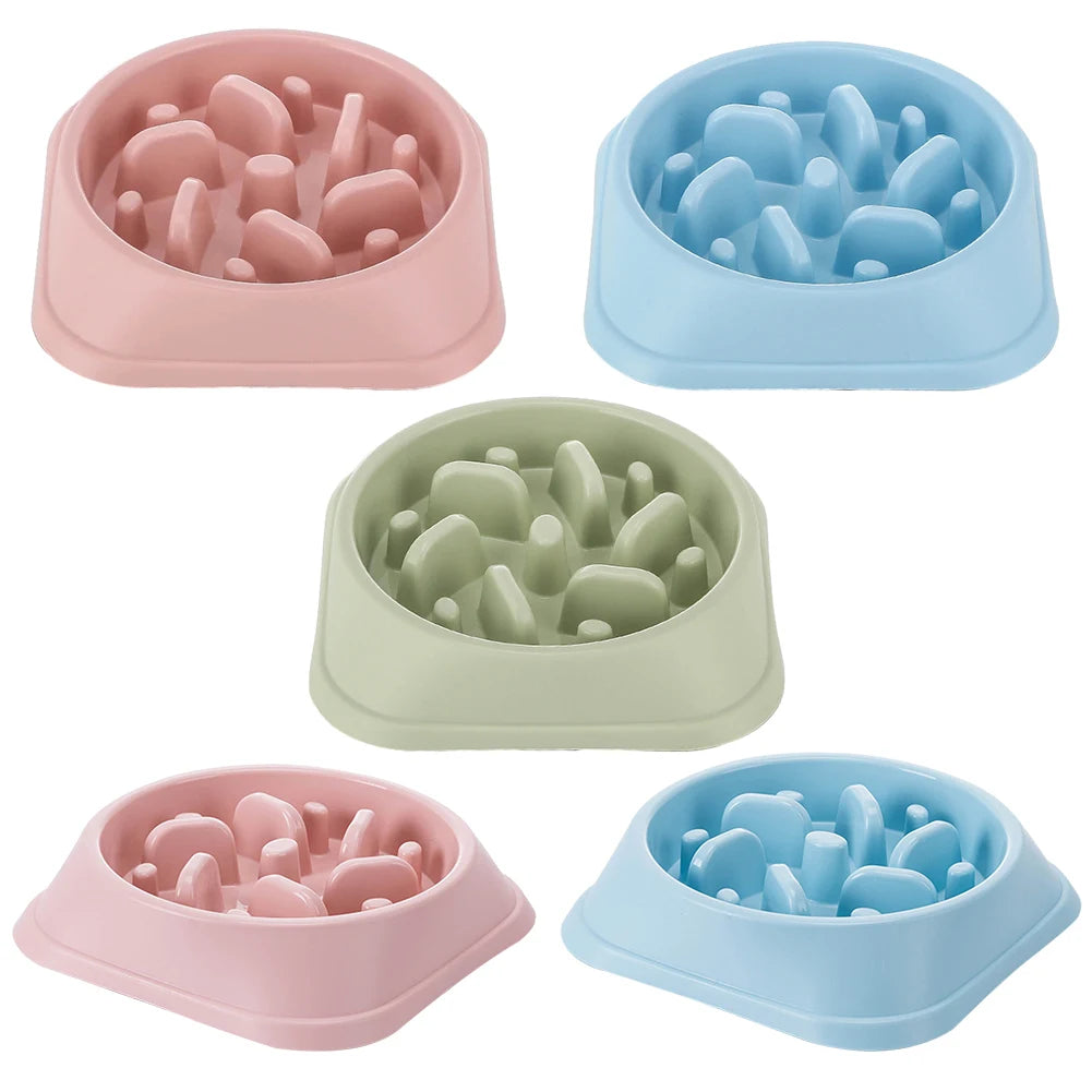 Gamelle anti-glouton labyrinthe pour chien et chat