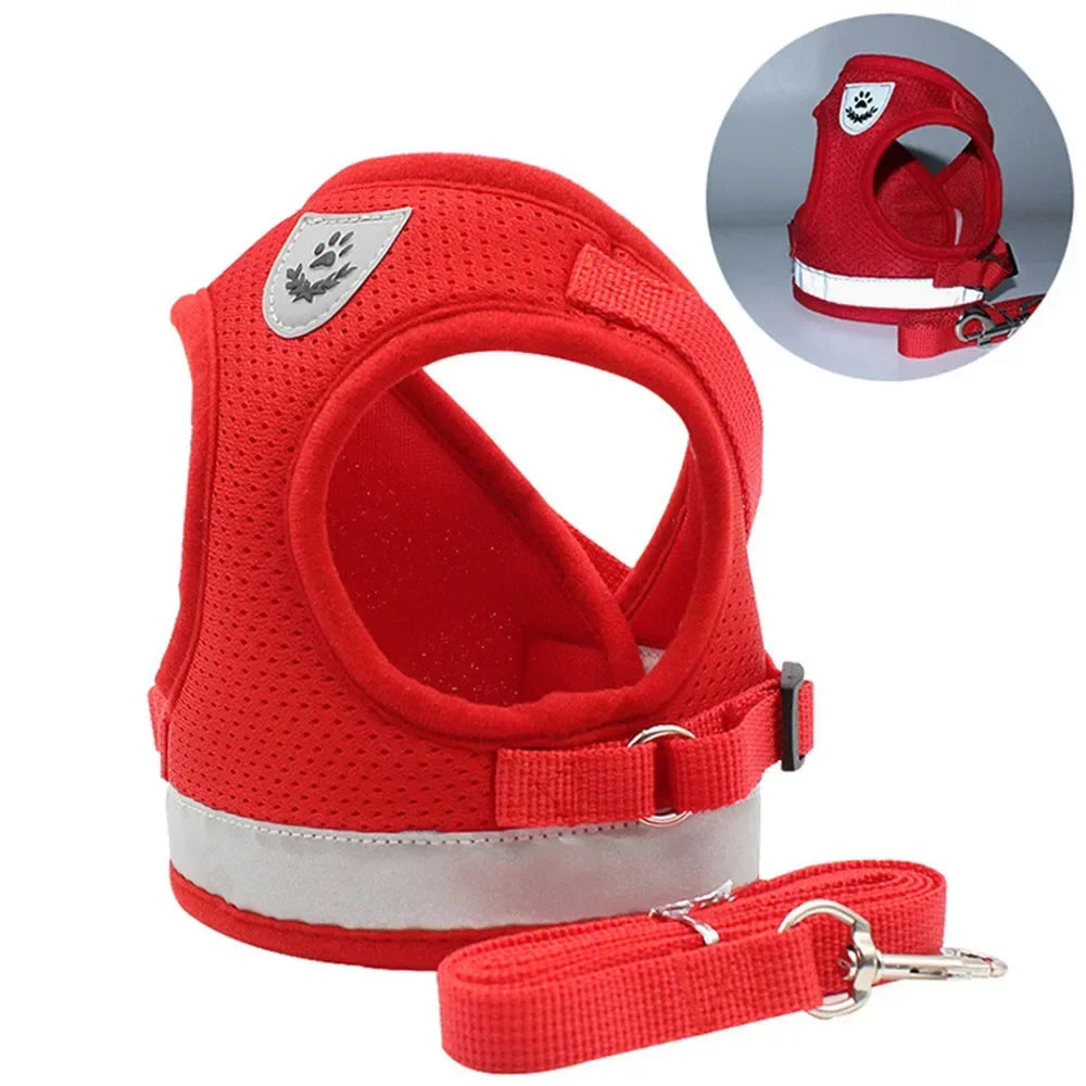 Ensemble harnais et laisse en mesh réfléchissant pour chat et petit chien