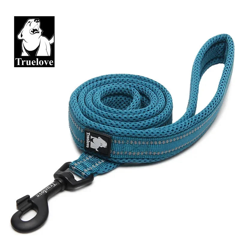 Laisse Truelove rembourrée réfléchissante 2 m pour chien et chat