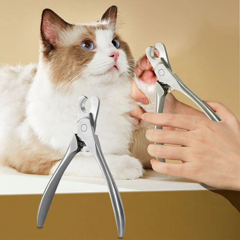 Coupe-griffes professionnel en inox pour chien et chat