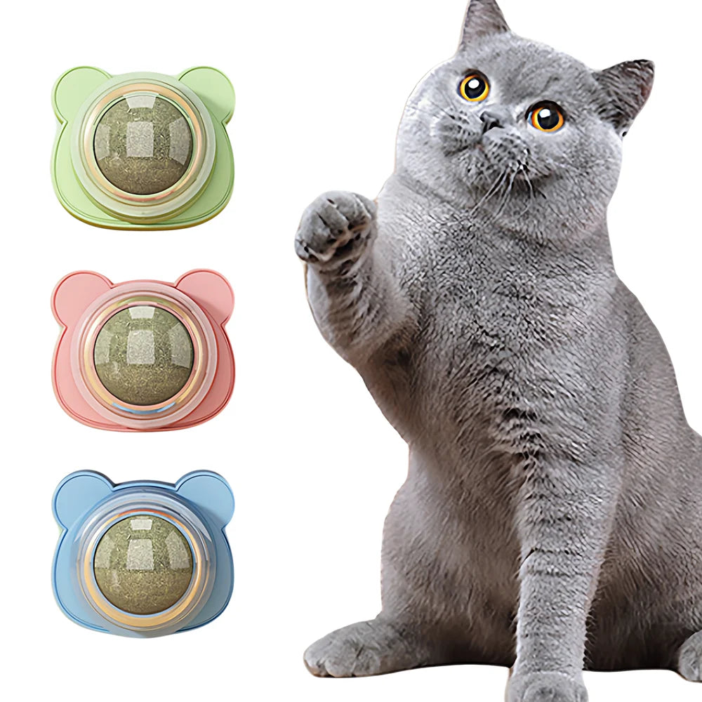 Balle de cataire à mâcher pour chat — nettoyage des dents