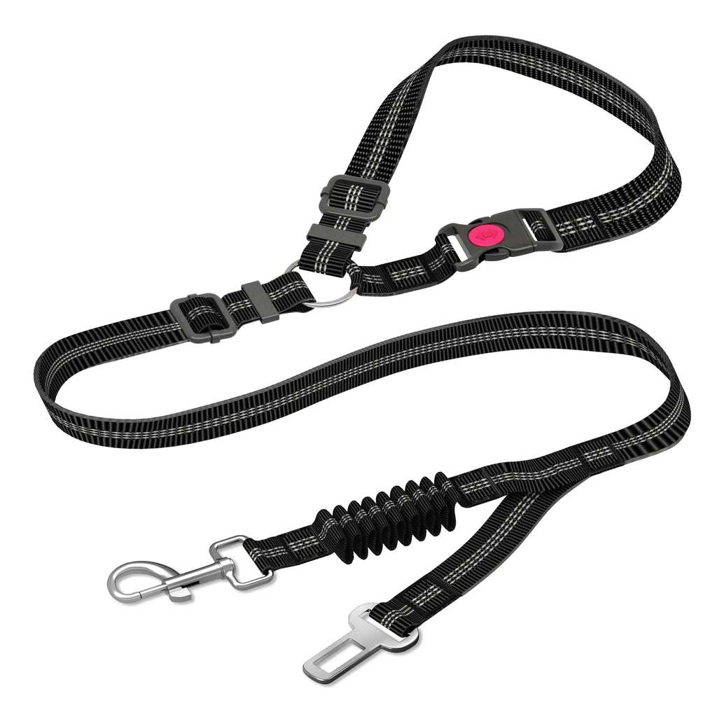 Ceinture de sécurité voiture renforcée pour chien — nylon rayé