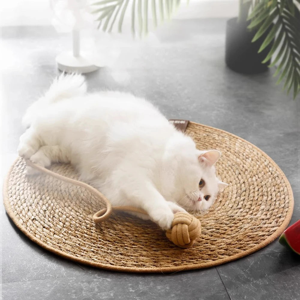 Tapis griffoir en rotin pour chat — protège-canapé