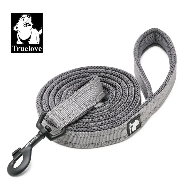 Laisse Truelove rembourrée réfléchissante 2 m pour chien et chat