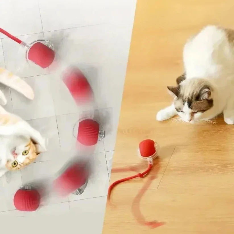 Balle interactive rotative pour chat — jouet automatique rechargeable