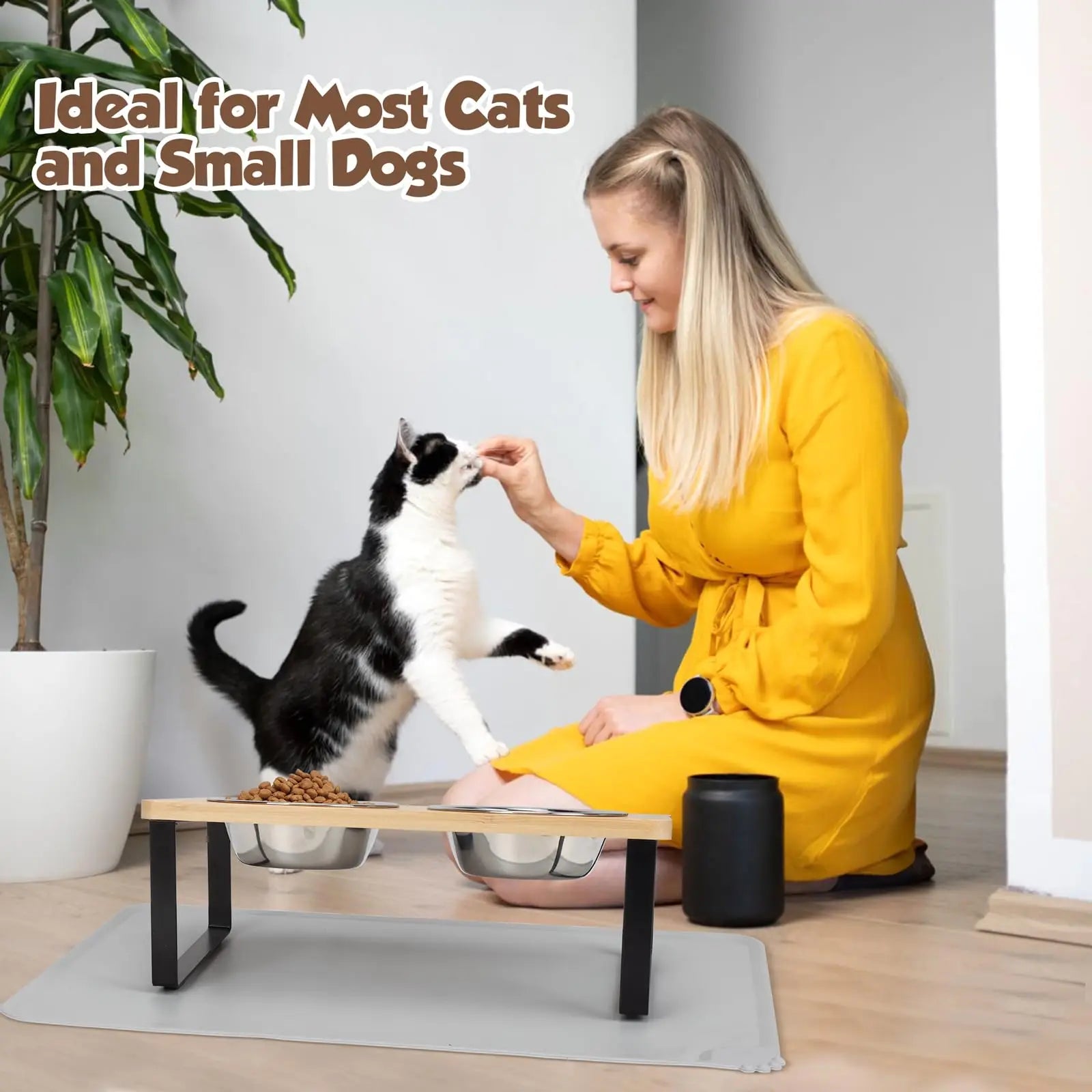 Gamelles surélevées inclinées en inox avec tapis pour chat — 15°