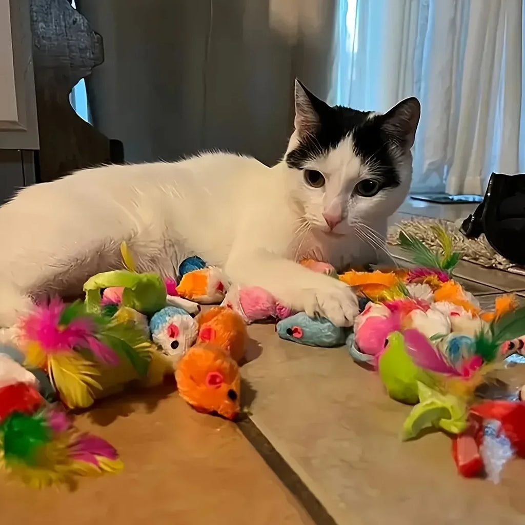 Lot de jouets pour chat — assortiment plastique et peluche