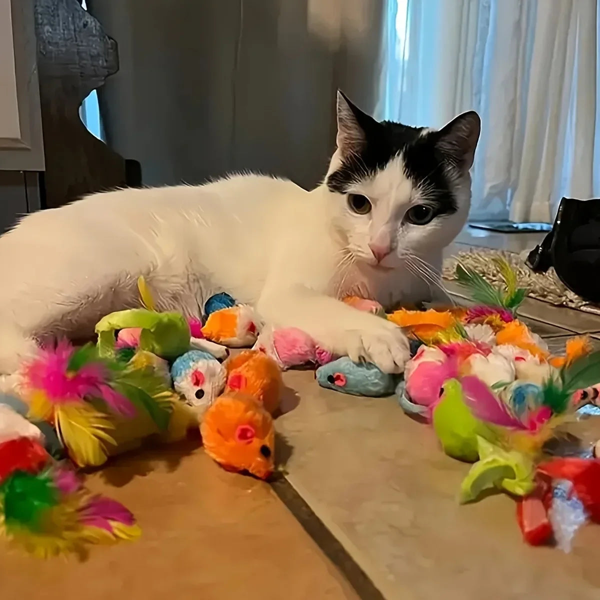 Lot de jouets pour chat — assortiment plastique et peluche
