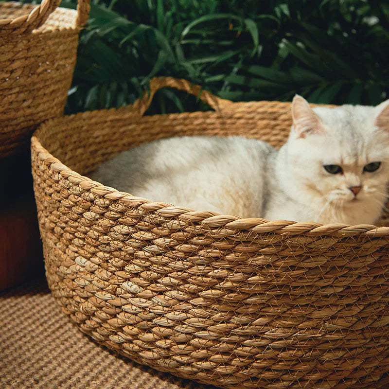 Panier en rotin tressé pour chat — couchage d'été