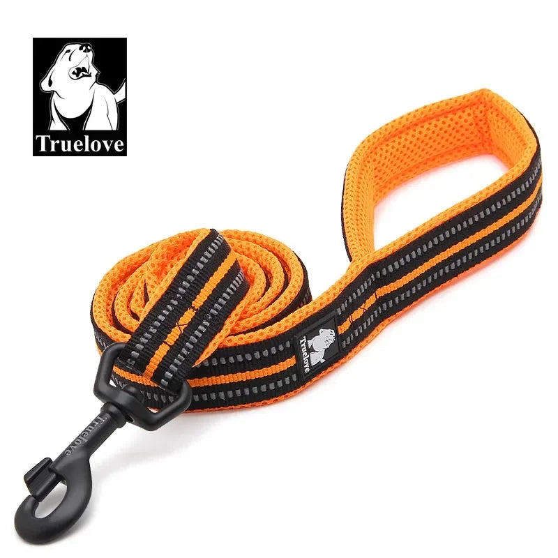 Laisse Truelove rembourrée réfléchissante 2 m pour chien et chat
